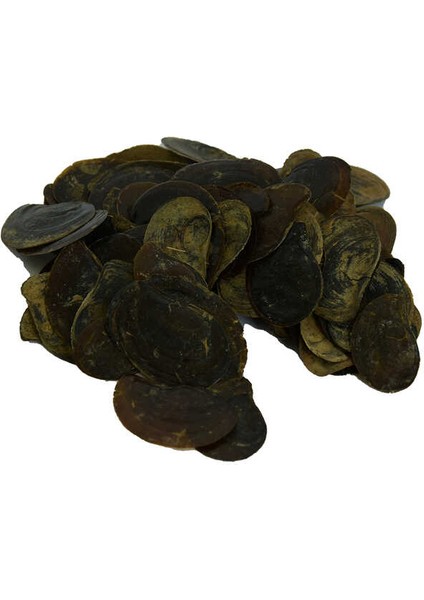 Cin Tırnağı 100 gr Paket