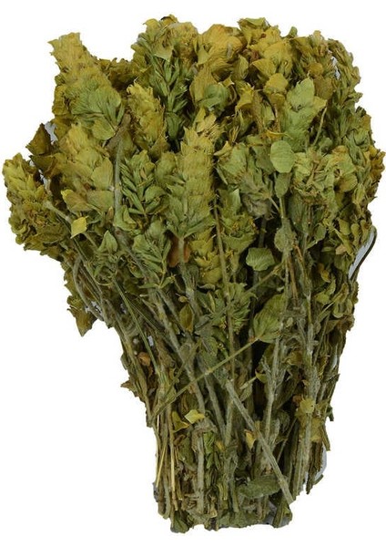 Adaçayı Akdeniz Yöresi Demet Doğal Dağ Çayı 100 gr Paket