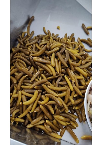 Çubuk Turşusu 0 Numara 5 kg fiyatları