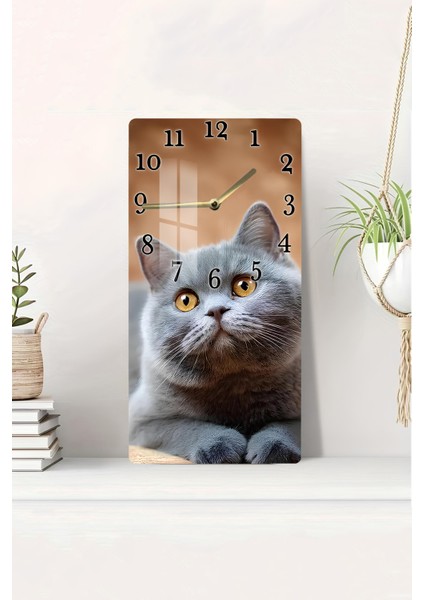 Temperli Cam Tablo Saat – Sevimli Gri Kedi Tasarımı (30×60 Cm)– Uv Baskı– CUSD133