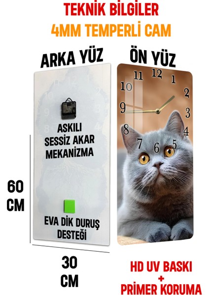 Temperli Cam Tablo Saat – Sevimli Gri Kedi Tasarımı (30×60 Cm)– Uv Baskı– CUSD133
