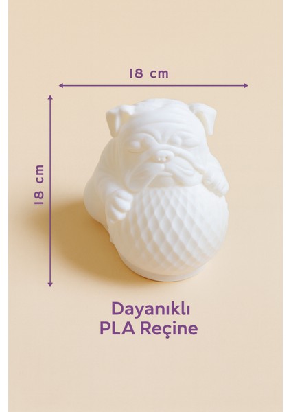 Bulldog Tasarımlı 3D Dekoratif Masa Lambası, Estetik Çocuk Odası Gece Lambası , Tealight 25 x 25 cm