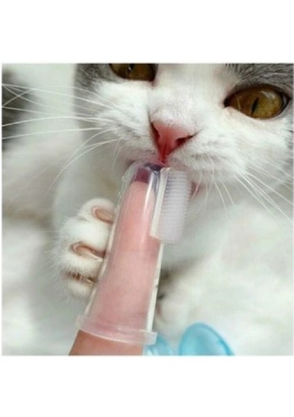 Kedi Köpek Diş Temizleme Fırçası fırsatları