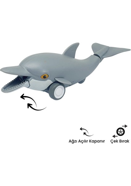 Sürtmeli Hayvanlar 2'li - Yunus Balığı ve Balina modelleri