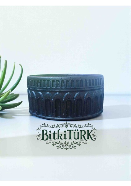 Roma Dizayn Beton Saksı Bonsai&çiçek