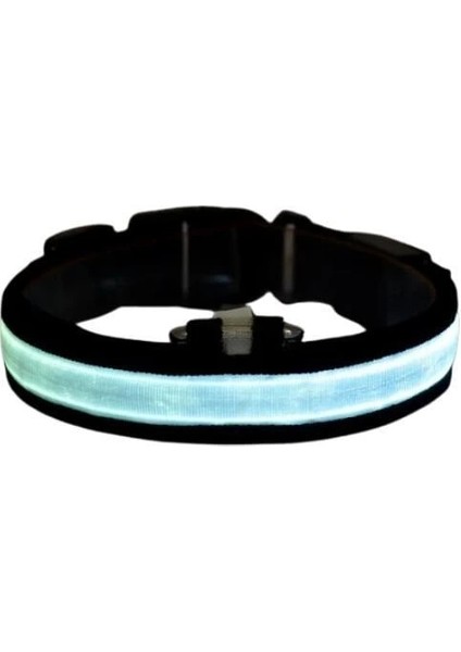 Petzz Işıklı Ayarlanabilir Flaşörlü Kedi ve Köpek Boyun Tasması Mavi 52-60 cm / 2.5 cm