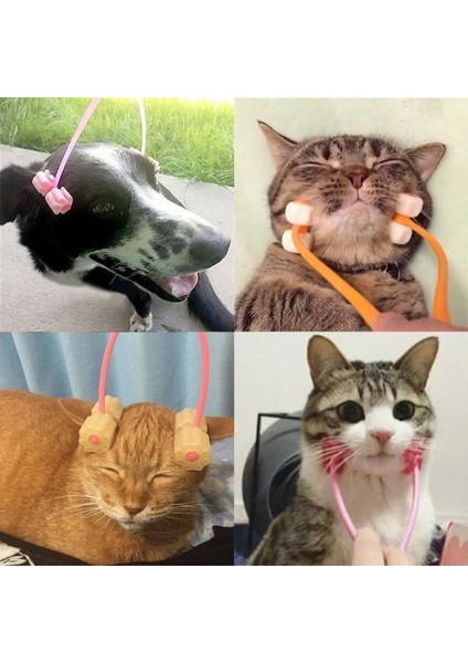 Kedi Fırça Kedi Masaj Aleti Plastik Kumu fiyatları