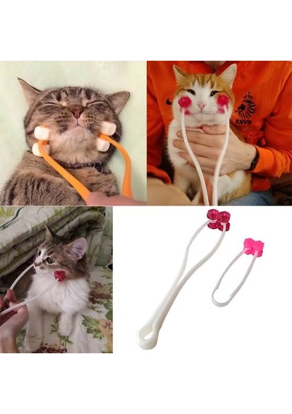 Kedi Fırça Kedi Masaj Aleti Plastik Kumu modelleri