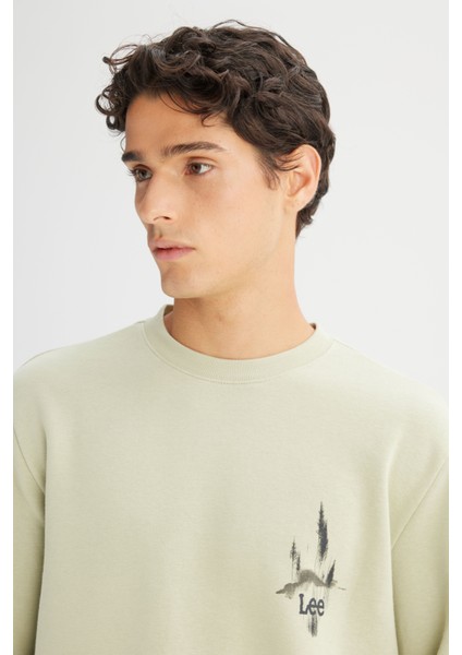 Regular Fit Normal Kesim Bisiklet Yaka Baskılı Mint Yeşili Sweatshirt fırsatları