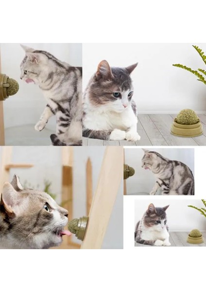 Kediler Için Oyun Topu Kedi Nanesi Oyuncak