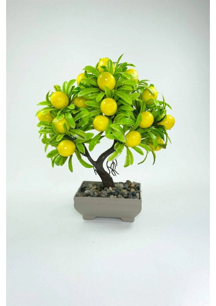 Dekor Ağaç Limon Ağacı Saksılı Dekoratif Ağaç Biblo 24X13 cm