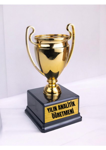 Yılın Analitik Öğretmeni 23 cm Hediyelik - En Iyi Öğretmenler Günü Hediyesi, Erkek Öğretmen Hediye