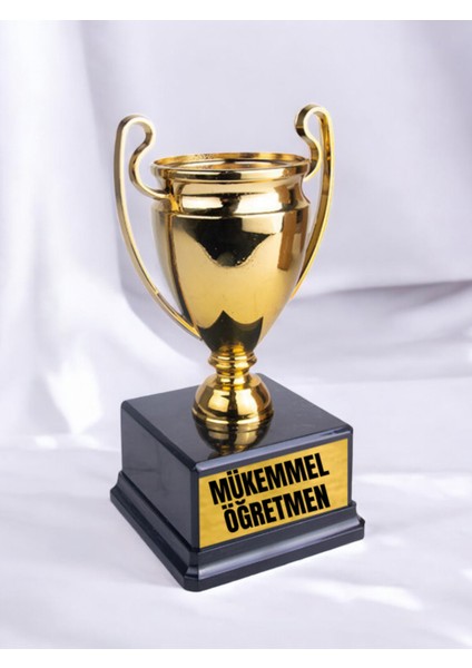 Mükemmel Öğretmen 23 cm Hediyelik - Erkek Öğretmene Öğretmenler Günü Hediyesi