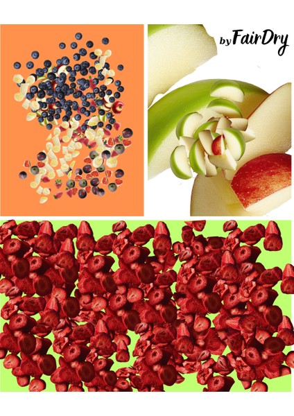 6byfairdry - Freeze Dried Dondurularak Kurutulmuş, Katkısız, Meyve Kurusu modelleri