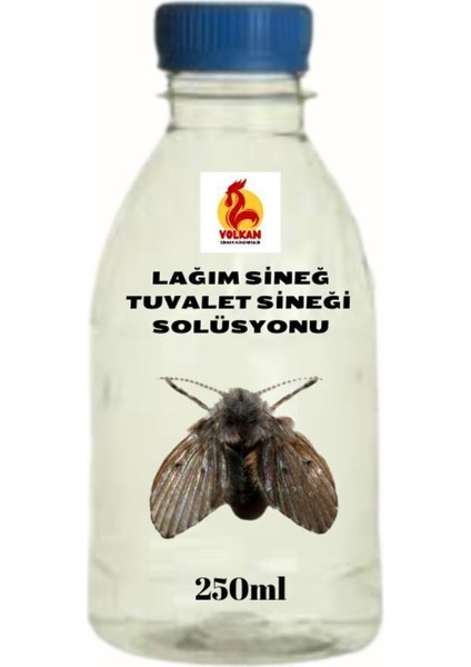 250ML Sinek : Tuvalet ve Logar Sineklerine Profesyönel Sonuç indirimleri