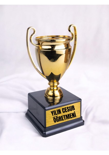 Yılın Cesur Öğretmeni 23 cm Hediye - Erkek Öğretmene Alınabilecek Hediye, Erkek Öğretmen Için Hediye