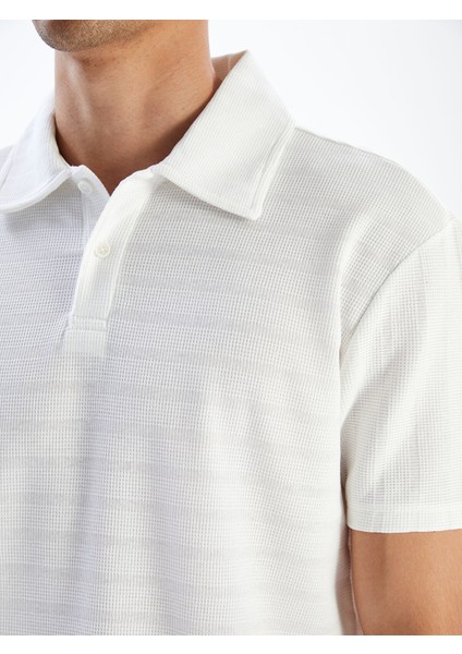 Yeni Sezon Polo Yaka Erkek Tişört modelleri