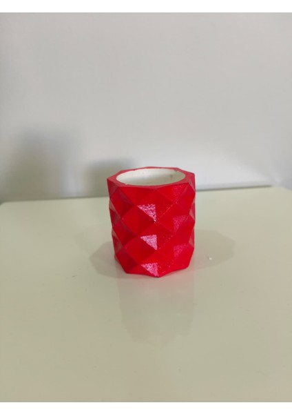 Geometrik Kaktüs Skulent Saksısı - Dekoratif Ev Aksesuarı