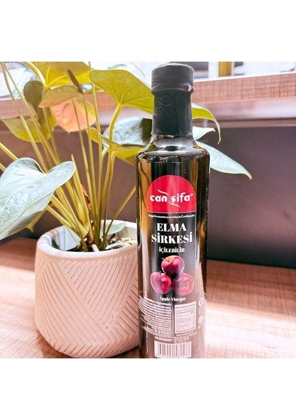 Elma Sirkesi