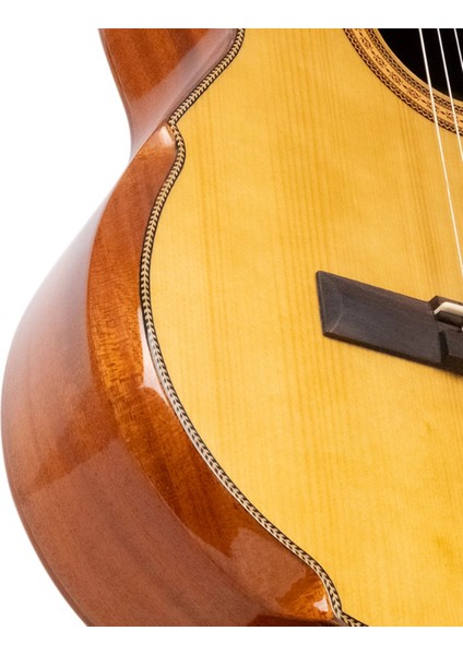 Vega Natural 4/4 Klasik Gitar modelleri