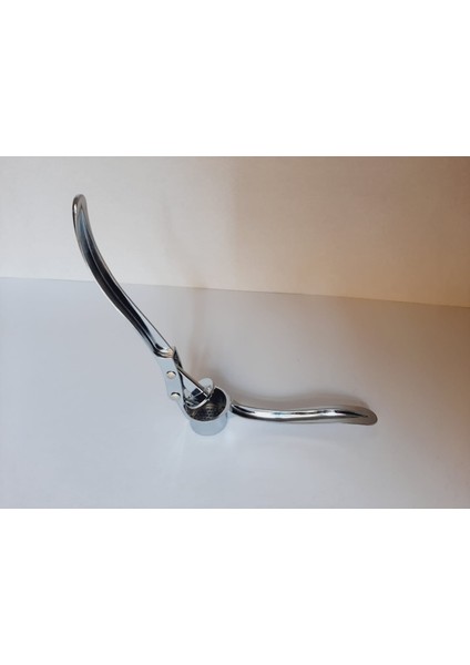 Çelik Sarımsak Ezici Sarımsak Ezme Aleti fırsatları