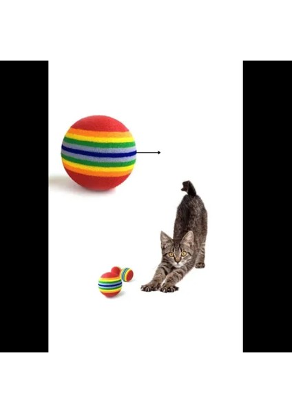 Sünger Kedi Köpek Çiğneme ve Oyun Topu 4 Adet modelleri