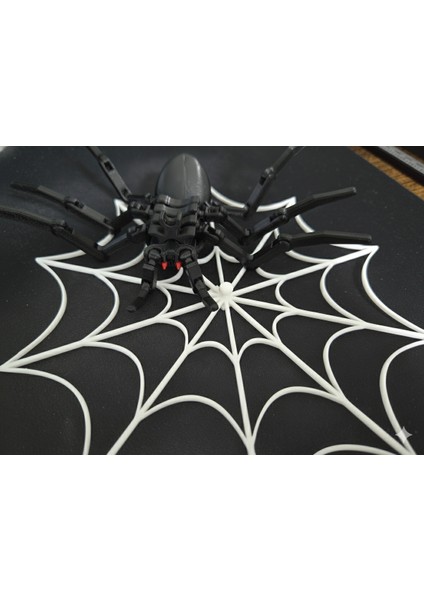 3D Baskı Dekoratif Örümcek ve Ağı – 17 cm Çift Taraflı Bantlı Duvar Süsü modelleri