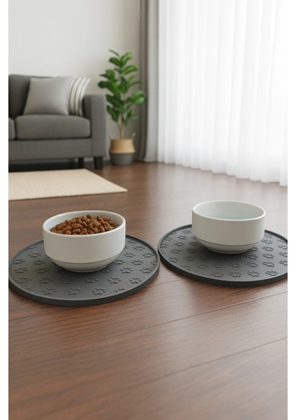 Pati Kedi Köpek Beslenme Mama Su Kabı Kaymaz Silikon Matlı Seramik Kaseli 500ML Hacimli 2’li Set