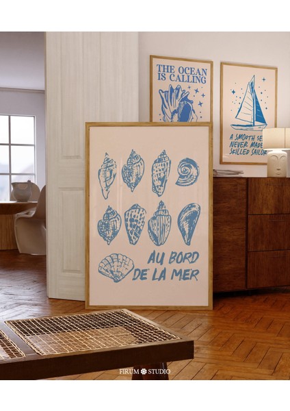 Deniz Kenarında Mavi Sahil Sanatı, Trend Deniz Kabukları Duvar Sanatı