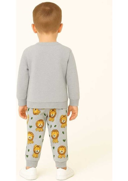 Gri Aslan 1-3 Yaş Çocuk Alt Üst Takım modelleri