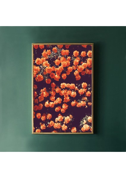 Koyu Çiçek Sanatı, Turuncu Duvar Sanatı, Çiçek Sanatı