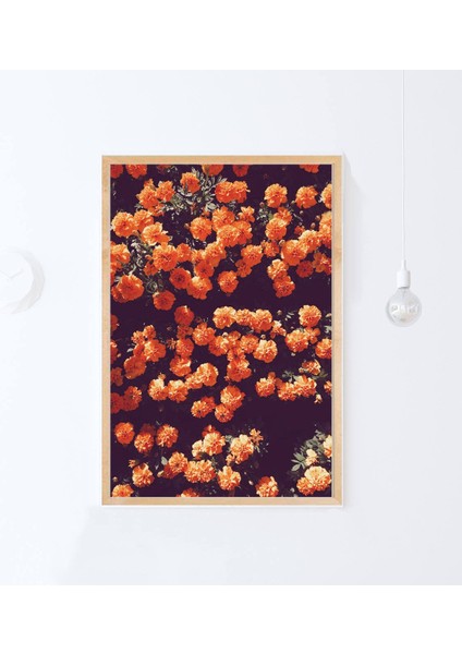 Koyu Çiçek Sanatı, Turuncu Duvar Sanatı, Çiçek Sanatı modelleri