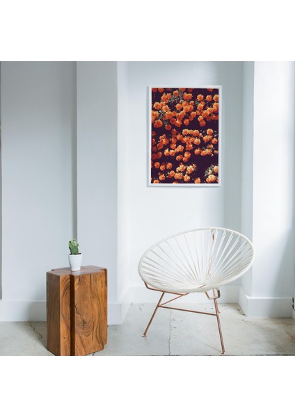 Koyu Çiçek Sanatı, Turuncu Duvar Sanatı, Çiçek Sanatı fırsatları