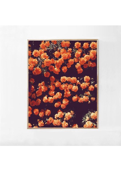 Koyu Çiçek Sanatı, Turuncu Duvar Sanatı, Çiçek Sanatı indirimleri