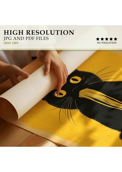 Ilginç Kedi Ramen Yeme Duvar Sanatı, Japon Mutfağı Duvar Sanatı, Erişte Severlere Hediye fiyatları