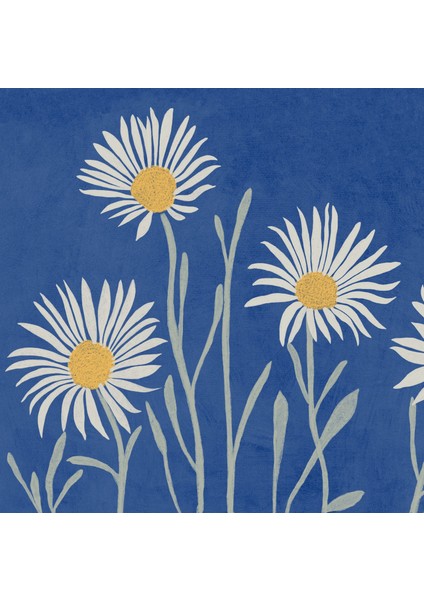 Papatyalar: Mavi Duvar Dekoru, Oturma Odası fiyatları