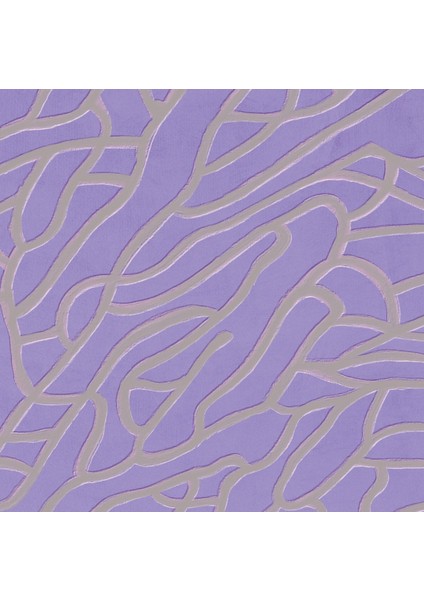 Mor Duvar Dekoru modelleri