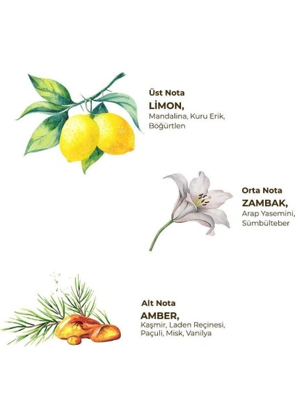 Eyüp Sabri Tuncer Çeşme Limonu Kolonyası 5 Lt - Bag In Box fiyatları