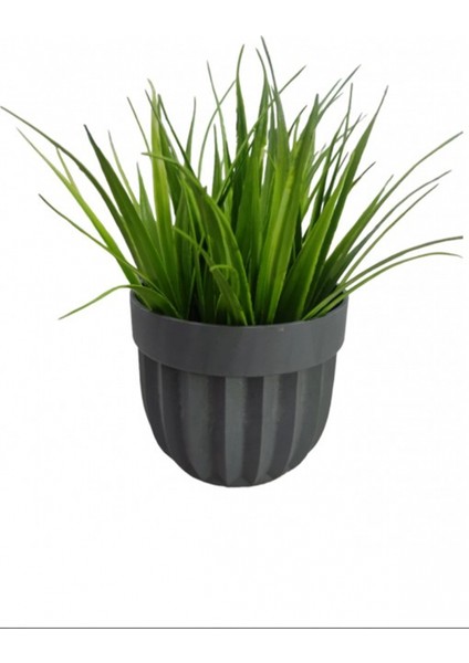 Çizgili Saksı Sazlı Çiçek -5782