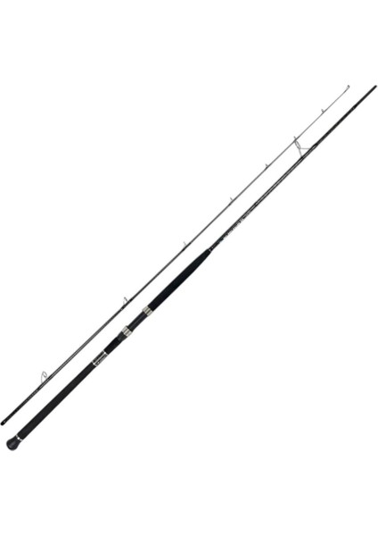 Big Meg 3,05M 30-100GR Shore Jıggıng