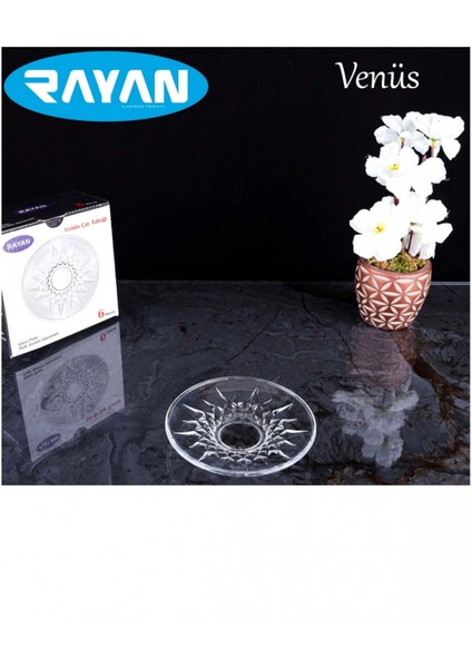 Venüs Çay Tabağı 6'lı ROYALEKS-81731