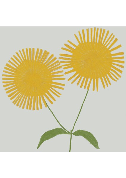 Sarı Ayçiçekleri: Illüstrasyon. Çiçekli Oda Dekoru fiyatları