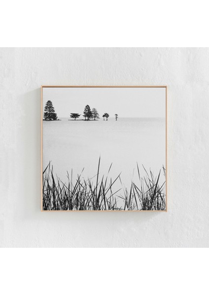 Siyah Beyaz, Manzara, Siyah Beyaz Fotoğraf, Kare