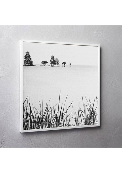 Siyah Beyaz, Manzara, Siyah Beyaz Fotoğraf, Kare modelleri