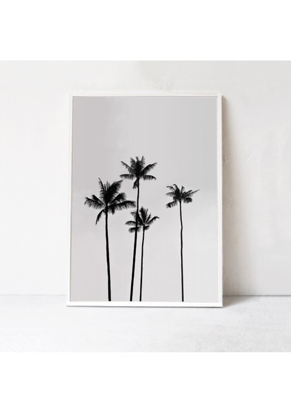 Palmiye Ağacı, Tropikal