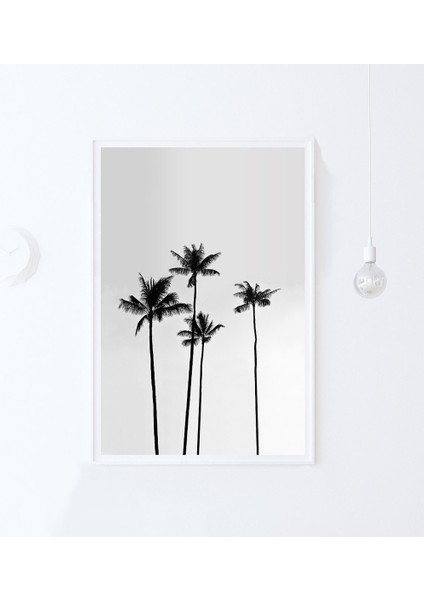 Palmiye Ağacı, Tropikal fırsatları