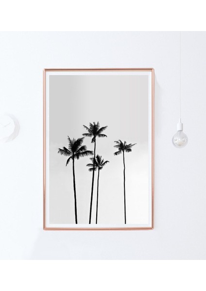 Palmiye Ağacı, Tropikal indirimleri