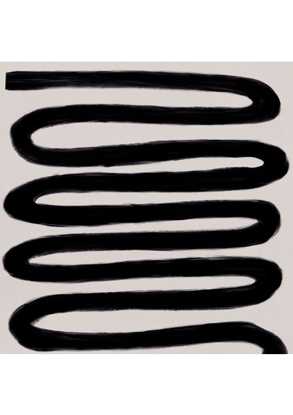 Soyut Sanat: Siyah Beyaz Sanat Posteri. Oturma Odası Için Çağdaş Dekor, Kıvrımlı Siyah Çizgi Sanatı. modelleri