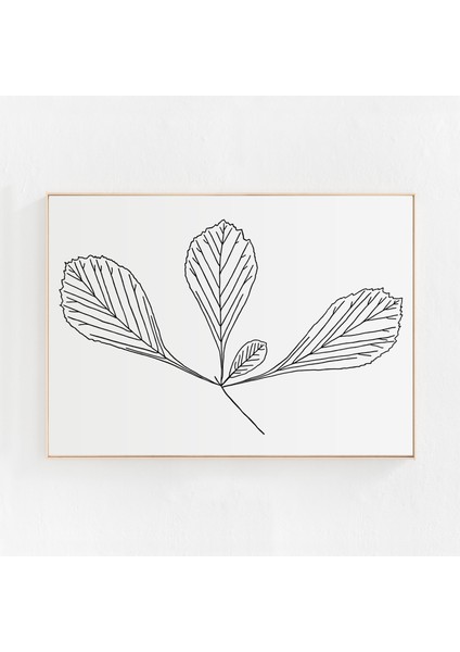 Minimalist Botanik Illüstrasyon, Sanat, Siyah Beyaz