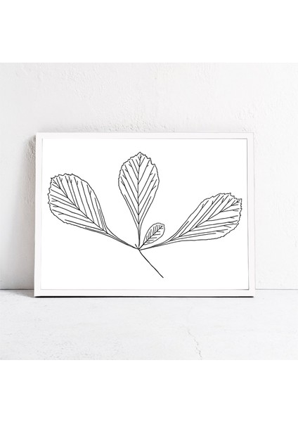 Minimalist Botanik Illüstrasyon, Sanat, Siyah Beyaz modelleri